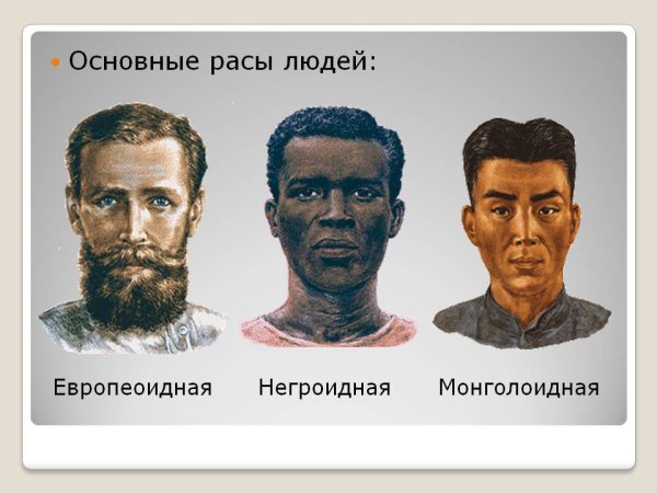 Негроидная и монголоидная раса