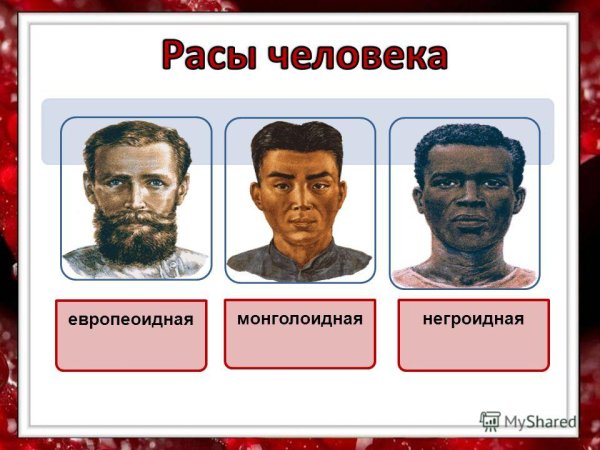 Основные человеческие расы