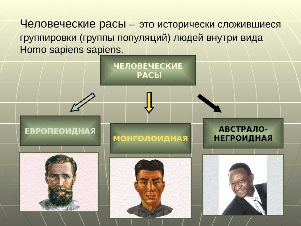 Признаки различных рас