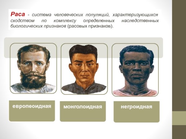 Европеоид монголоид негроид