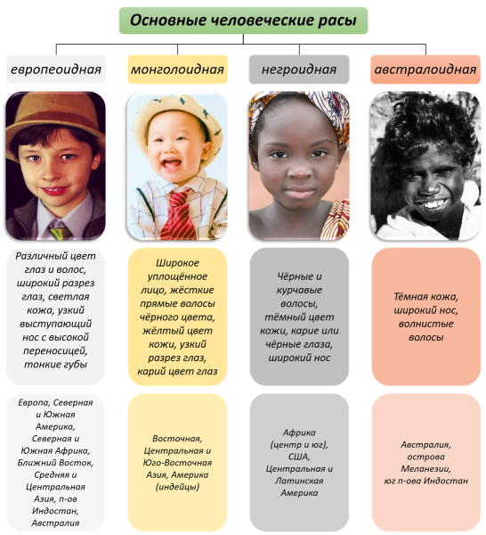 Расы и их происхождение