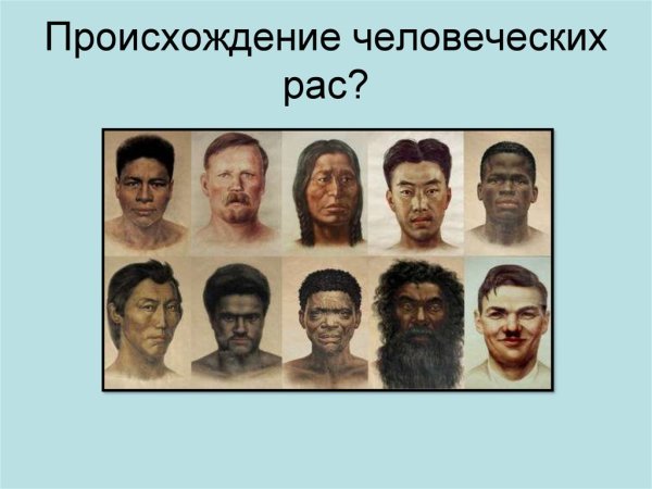 Экваториальная раса народы