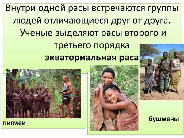 Расы и народы мира