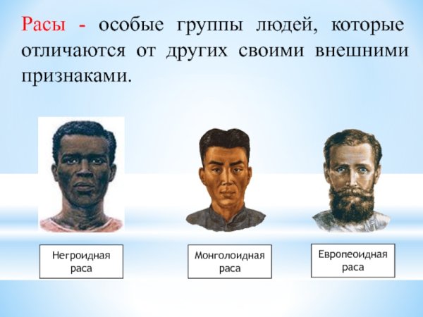 Европеоид и монголоид