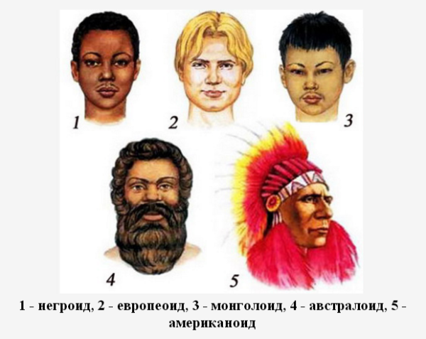 Люди негроидной расы и монголоидной