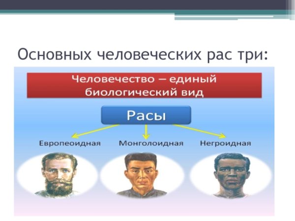 Европеоидная раса и негроидная раса