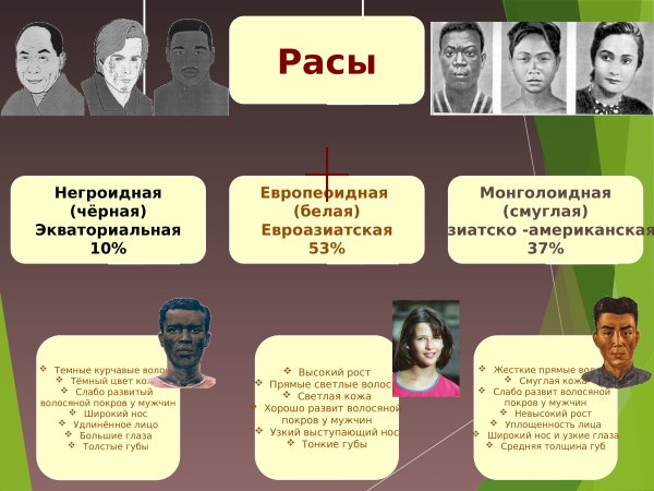 Происхождение рас человека