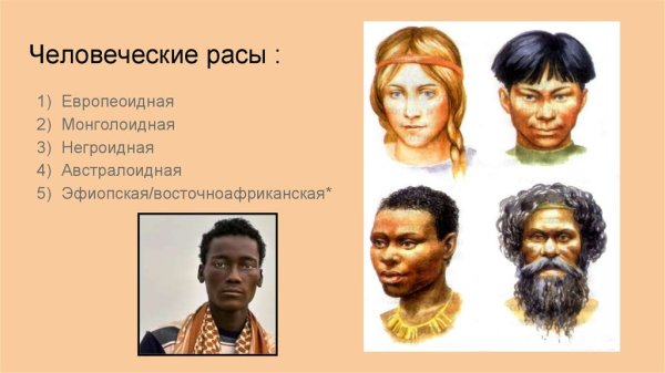 Расы людей