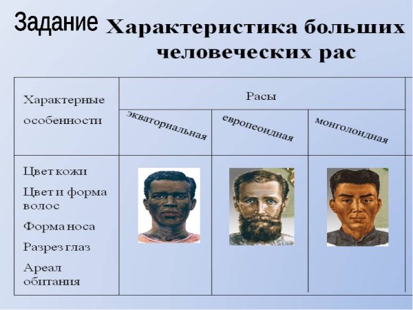 Раса основные расы