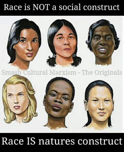 Европеоид монголоид негроид