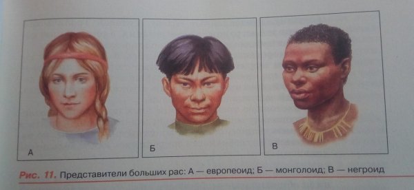 Мальгаши это смешанная раса