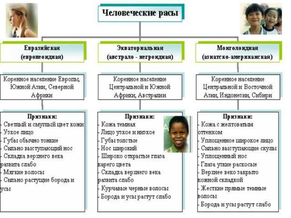 Три основных расы