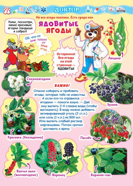 Консультация ядовитые растения