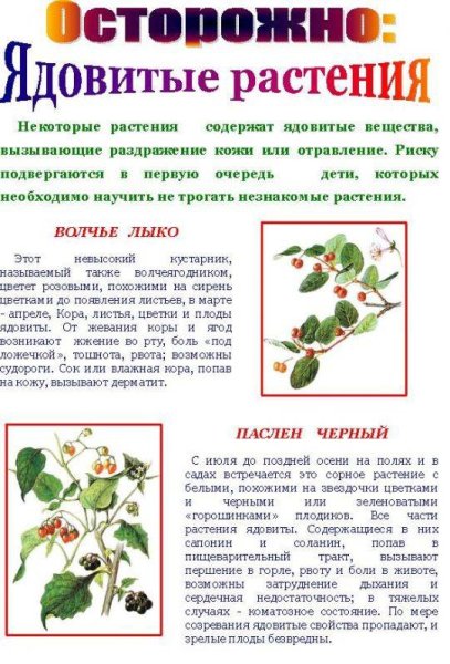 Ядовитые растения