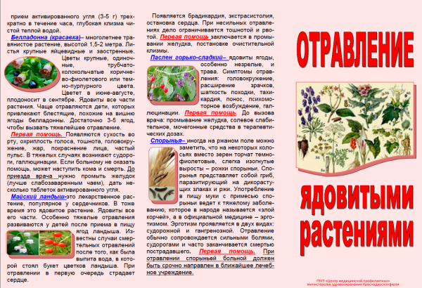 Ядовитые растения и ядовитые грибы