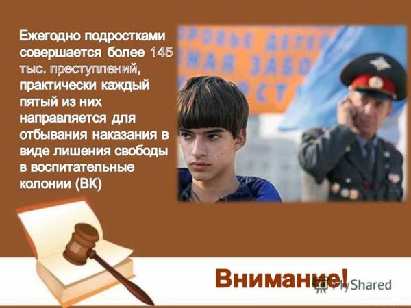 Проект на тему виновен отвечай