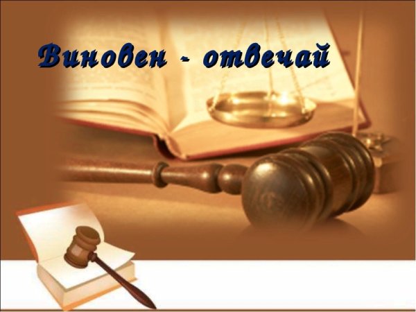 Виновен-отвечай Обществознание