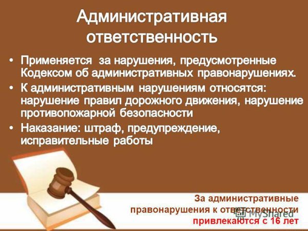 От чего зависит степень наказания за все виды правонарушений