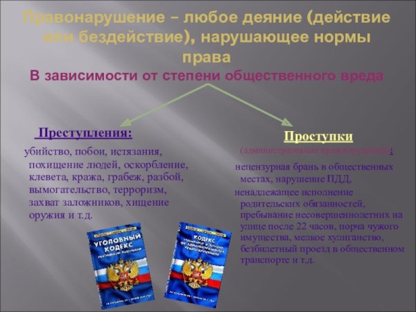 Виновен отвечай конспект