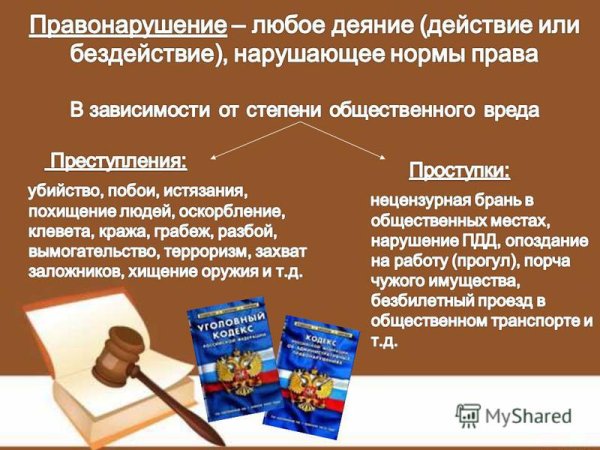 Виды преступности Обществознание