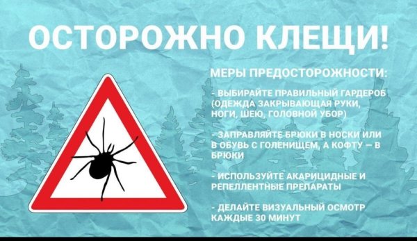 Осторожно клещи