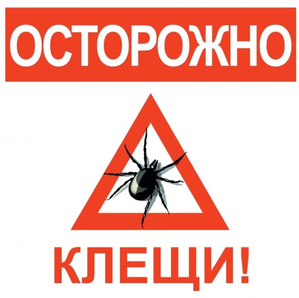 Плакат про клещей