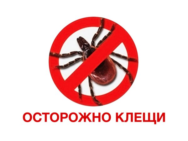 Табличка осторожно клещи