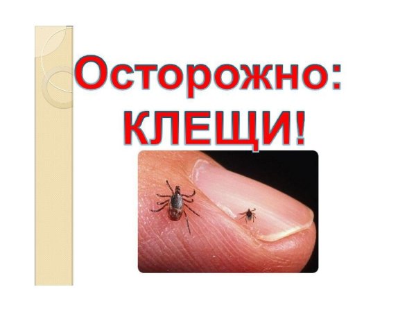 Памятка про клещей Роспотребнадзор