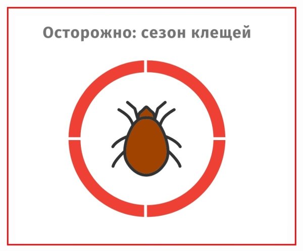Осторожно клещи