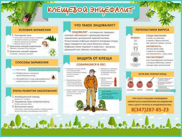 Памятка клещевой энцефалит и его профилактика