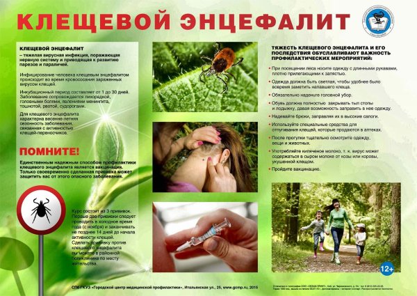 Памятка Берегись клещей