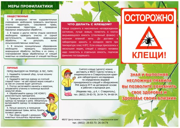 Профилактика клещевого энцефалита памятка для детей