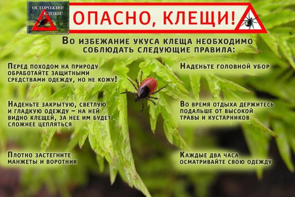 Памятка клещевой энцефалит для детей