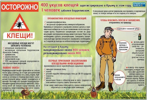 Безопасное лето для детей клещи