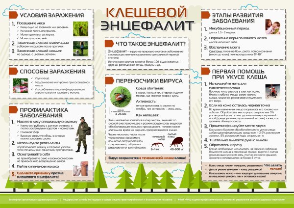 Клещевой энцефалит памятка для родителей