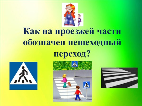 Правила поведения на дороге