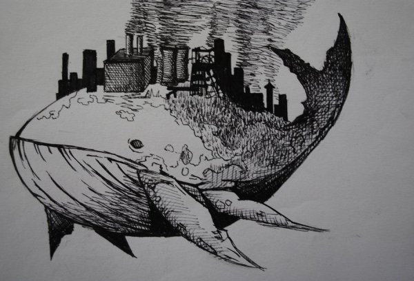 Защита природы