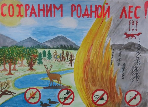 Рисунок на тему защита природы