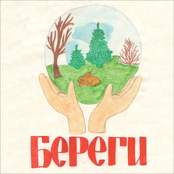 Берегите лес от пожара рисунки