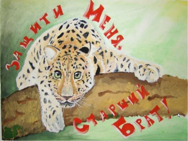 Рисунок на тему берегите животных