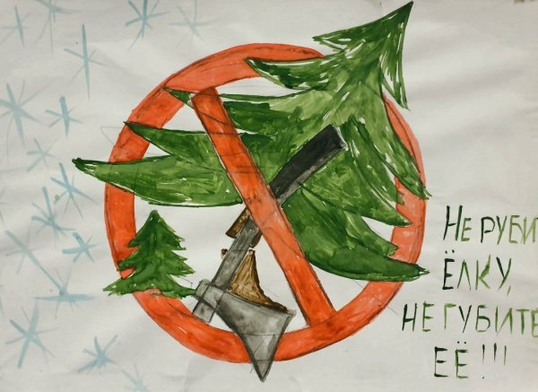 Рисунки на тему не рубите елочку