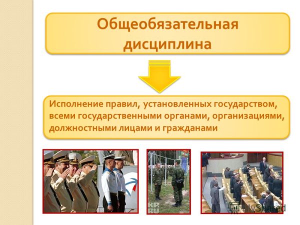 Коллаж по правам человека