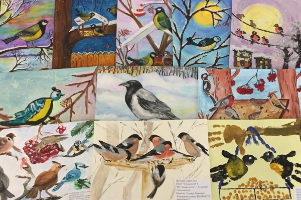 Сытые птички конкурс