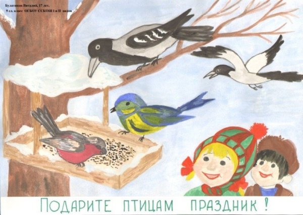 Плакат птицы