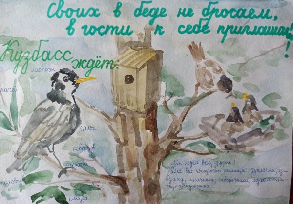 Листовка наши пернатые друзья