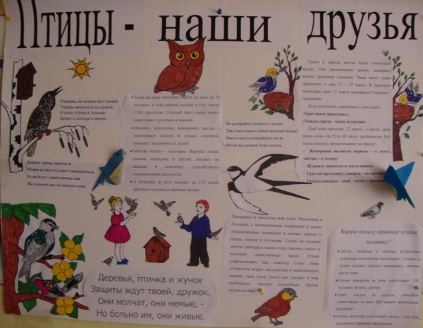 Плакат птицы наши друзья