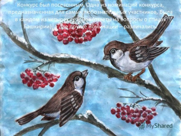 Конкурс рисунков на тему птицы