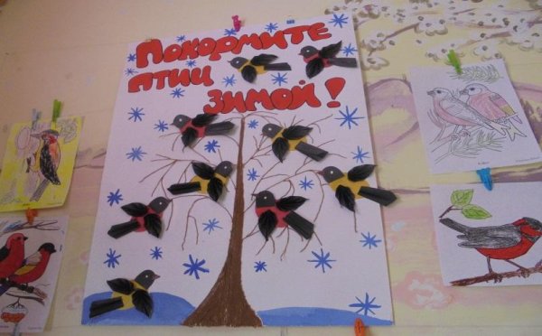 Плакат на тему птицы