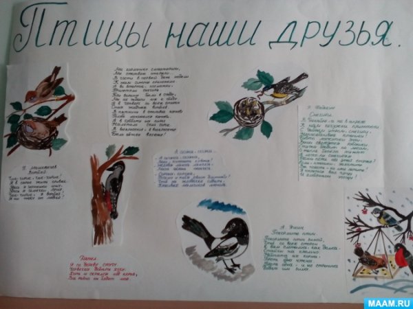 Плакат Покормите птиц