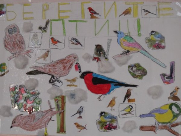 Плакат на тему птицы
